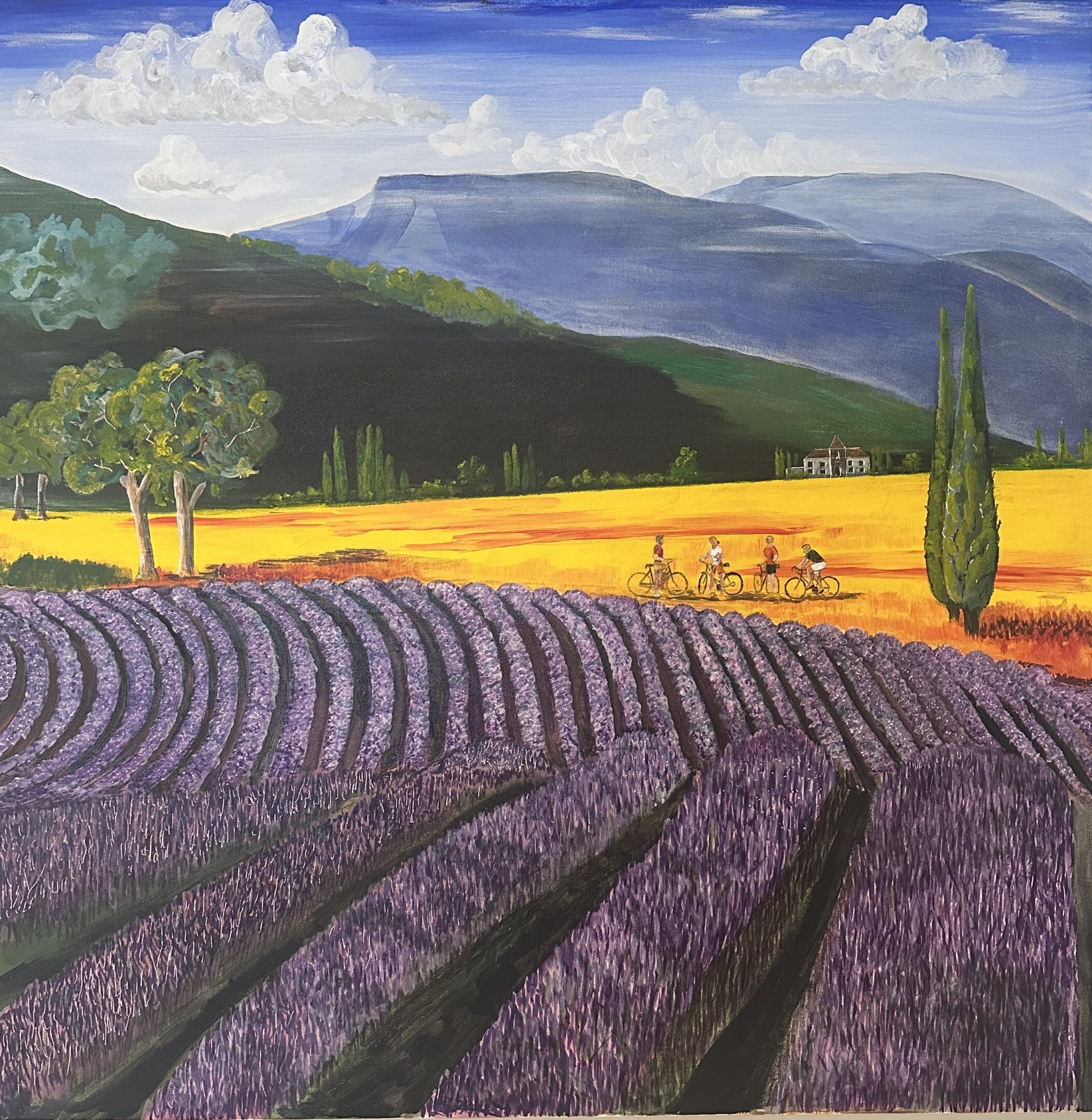 Lavender fields with rolling hills and distant mountains under a partly cloudy sky.