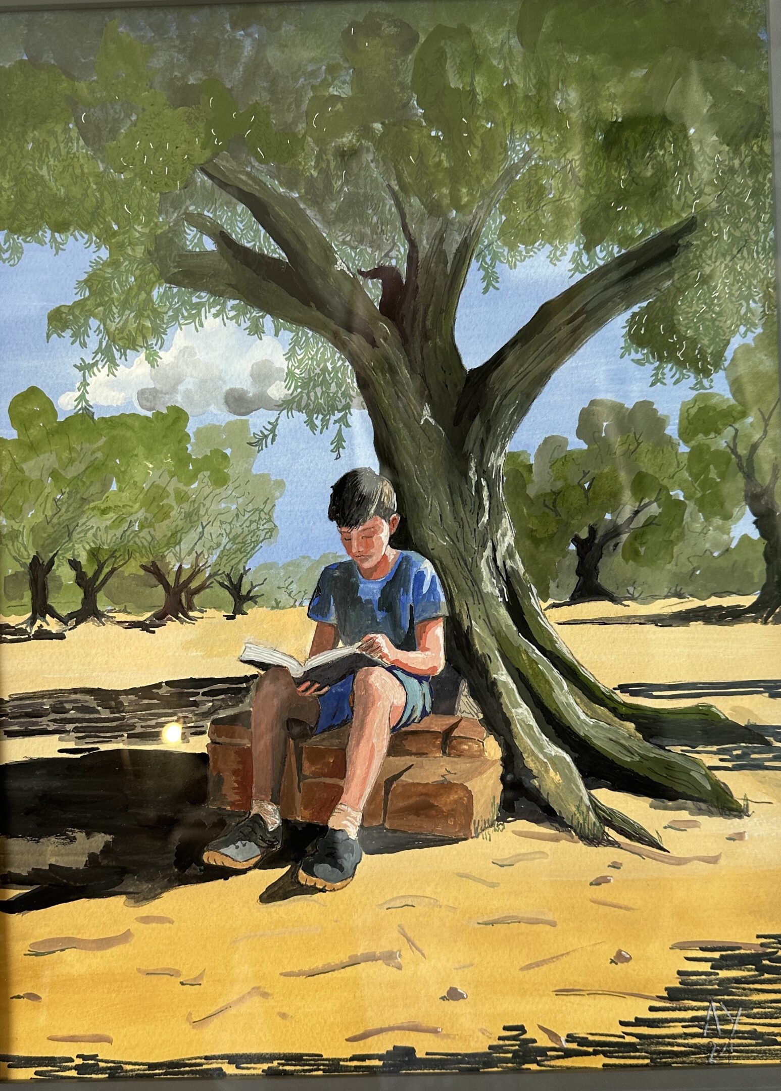 A boy sits reading under a large olive tree on a sunny day.